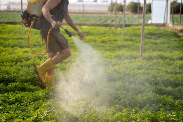 Insect Control in Elkton, KY