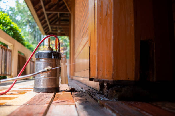 Best Best Pest Control Companies  in Elkton, KY