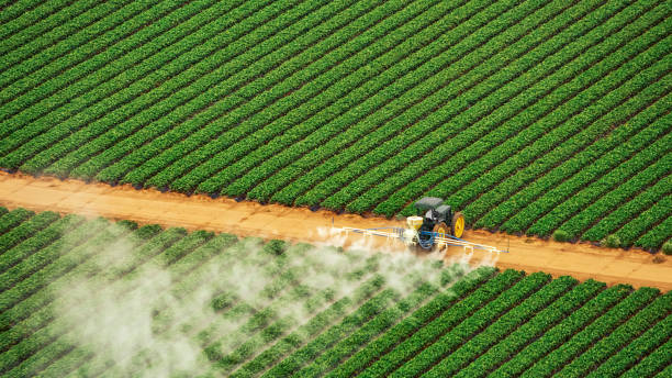 Reliable Elkton, KY Pest Control Solutions